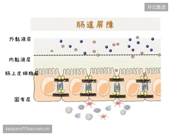 库巴斯作为防守型中场，其出色的拦截和选位是防线前的关键屏障。